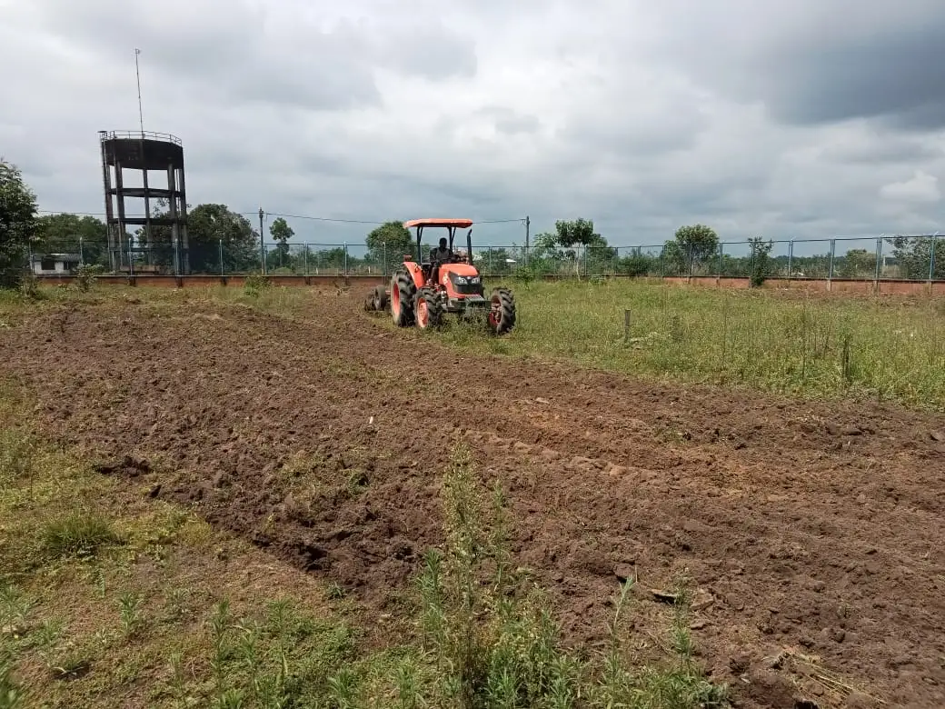 Opening the land