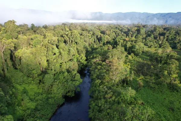 Future Forestbase project landscapes